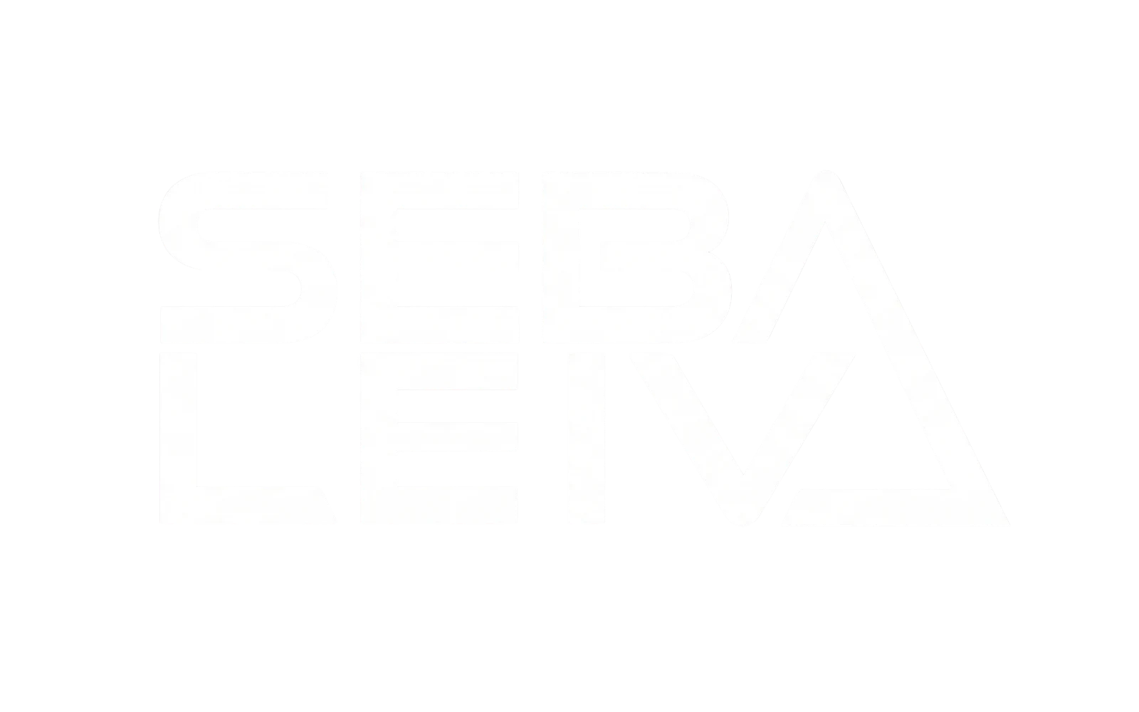 Seba Leiva logo principal